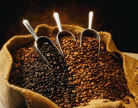 COffee - kawusia - coffee_beans5_3.jpg