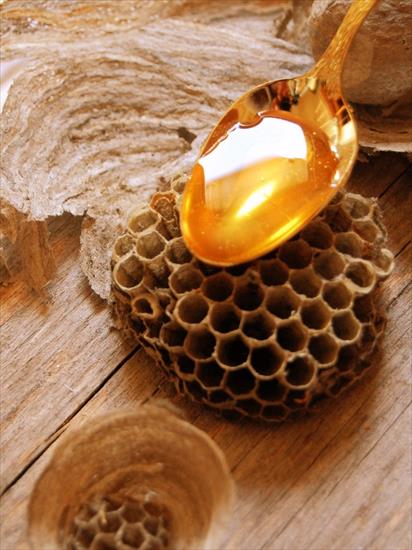 Miód i pszczoły - mid.jpg