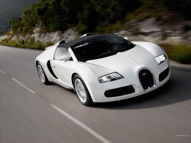1024 x 768 - Bugatti_Veyron_72_1024x768.jpg