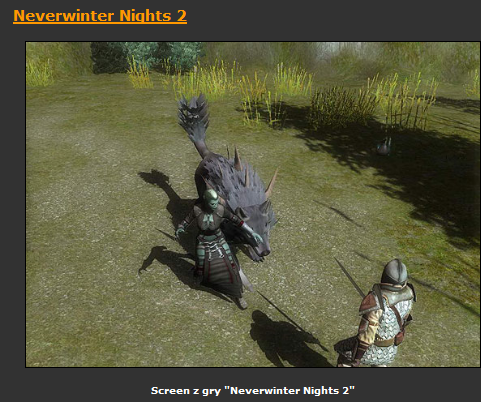 Neverwinter Nights 2  gra PL - ScreenShot020.bmp