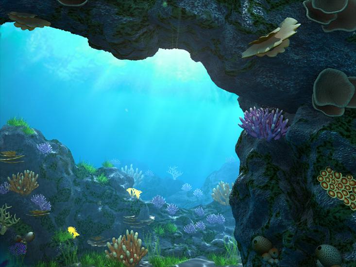 Podwodny świat - rifs.jpg