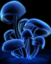 Tapety do telefonów - 3d_Blue_Mushrooms.jpg