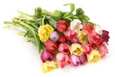 DZIEŃ KOBIET - tulipany23.jpg