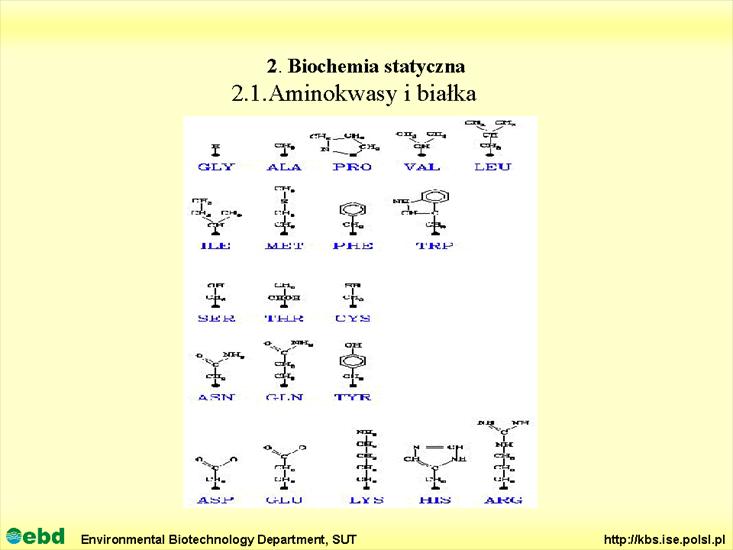 BIOCHEMIA 2 - biochemia statyczna - Slajd05.TIF