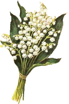 A - konwalie - GIF - muguet2.gif