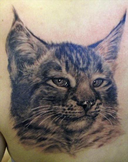 Cats - cat-tattoo.jpg