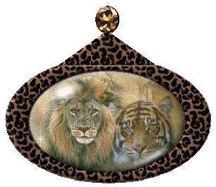 Koty dzikie - lion04.gif