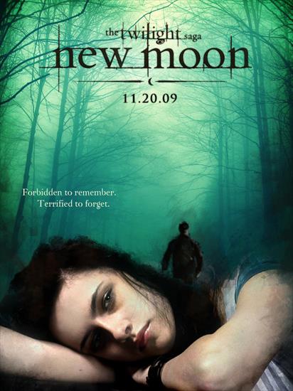 Twilight - new_moon_fan_poster_by_thebritishcornflake.jpg