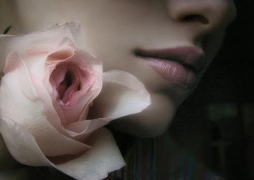 Dzień dobry - sensual-sensual-FlOwErS-ceca-tags-popi-beauty-flowers-rosas_large.jpg
