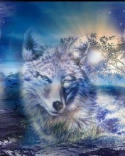  176x220 - Mystical_Wolf.jpg