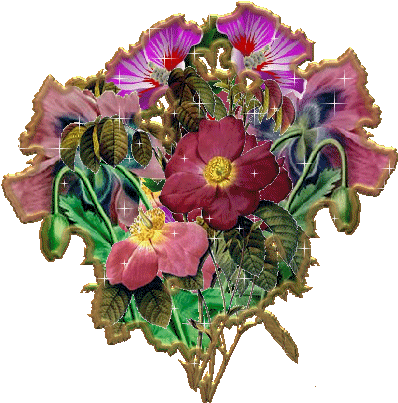 Kwiaty - 1661.gif
