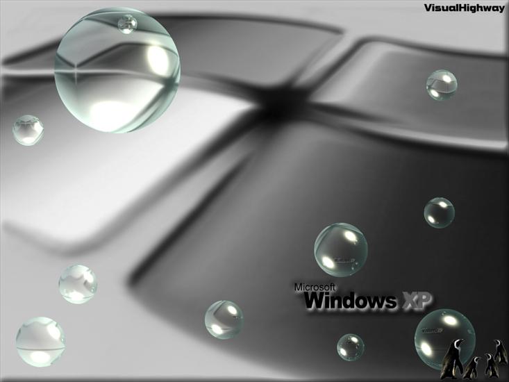 Windows - XP PLAIN.jpg