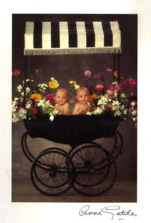Anne Geddes - Geddes wóz z kwiatami.jpg