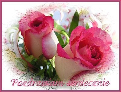 Pozdrowienia - 16044_roze17.jpg