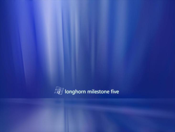 Windowsowe - Longhorn M5.jpg
