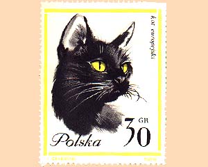 Kocie znaczki pocztowe - kot_2.jpg