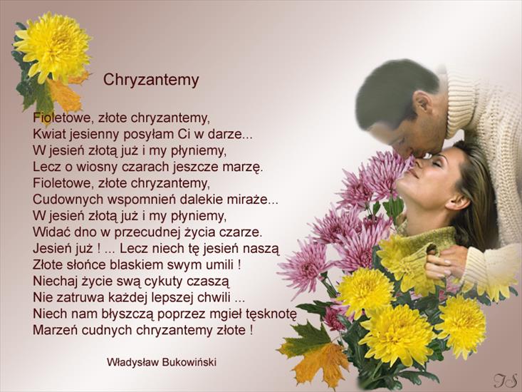 Wiersze ilustrowane różnych autorów - Chryzantemy.jpg