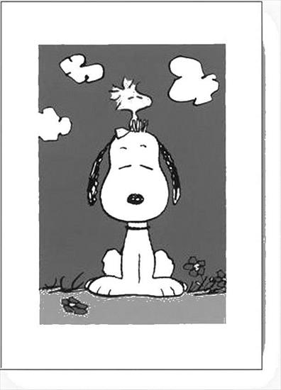 Snoopy - 10037728.jpg