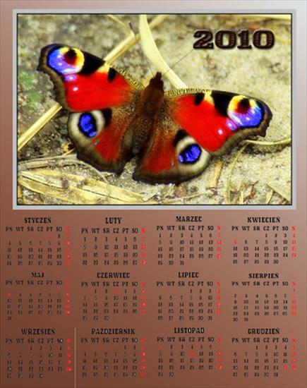 Kalendarze 2010 - Kalendarz 201030.jpg