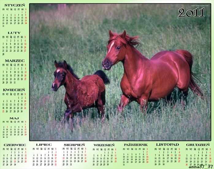 Kalendarz 2011 - anna37_37 91.png