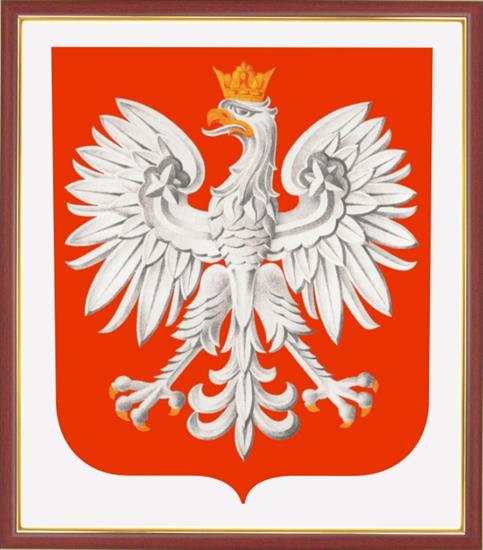 Symbole narodowe - godło Polski.jpg