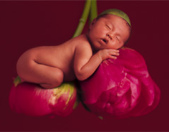 galeria Anne Geddes - 11.jpg