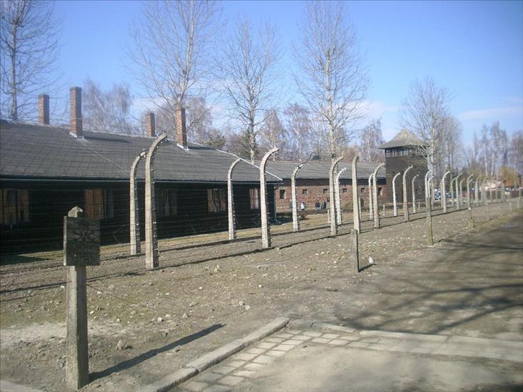 Auschwitz-Birkenau Auschwitz - 3755.JPG