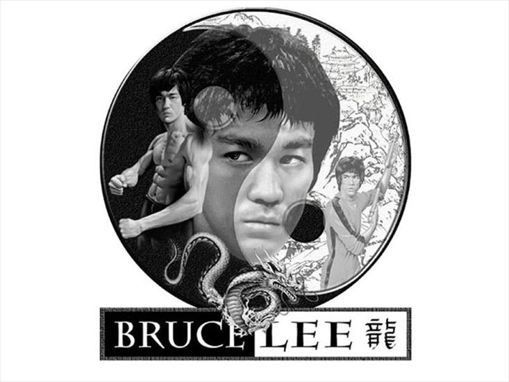 Tapety i Zdjecia z Bruce Lee - Bruce Lee 51.jpg