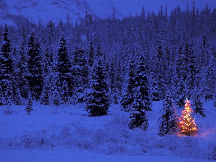 Obrazki na Boże Narodzenie - Christmas 48.jpg