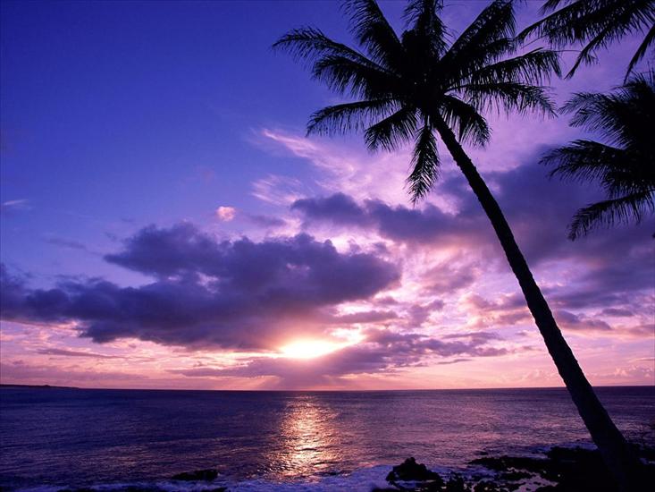Tropical Paradise Wallpapers - Tahitian Paradise.jpg