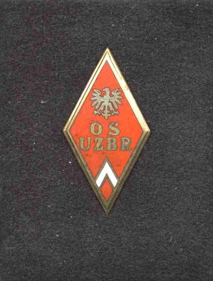 Szkoły oficerskie  w latach 1952-1972 - odznaka Oficerskiej Szkoły Uzbrojenia - Olsztyn.jpg