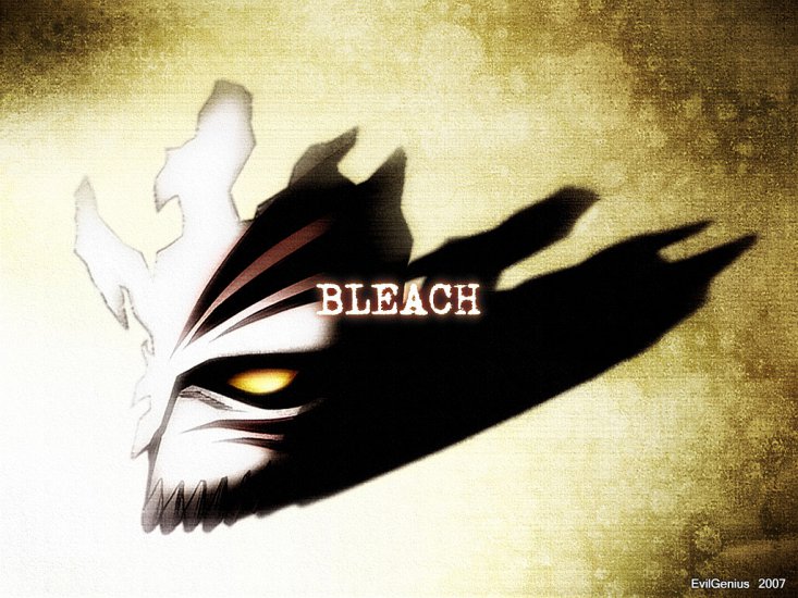 Bleach - 0026.jpg