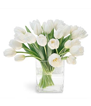 gify-tulipany - kwiaty tulipany11.jpg