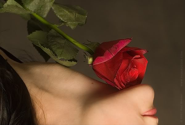kobieta i róża - beauty-rose.jpg