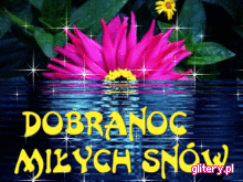 DOBRANOC - 2--DOBRANOCMIYCH-SNW-82821.gif