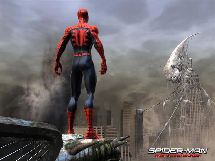 TAPETY - Spiderman_Web_Of_Shadow_wallpaper01_1024x768.jpg