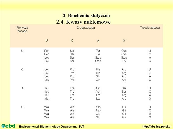BIOCHEMIA 2 - biochemia statyczna - Slajd62.TIF