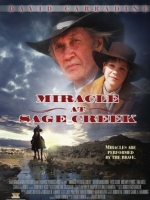 Filmy western - Cud w Sage Creek.jpg