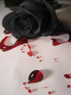 Flowers - Bloody_Rose.jpg