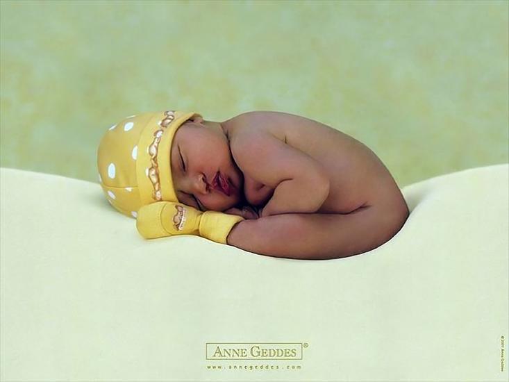 Dzieci Anny Geddes - Anne Geddes Photography 015.bmp