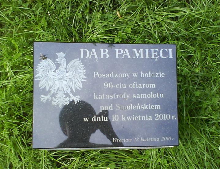 Pamięć - drzewo pamięci.jpg