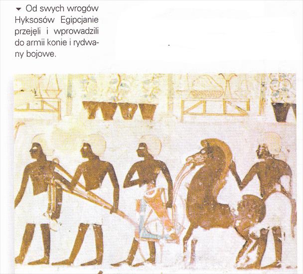 Egipt starożytny, obrazy - Obraz IMG_0003. Konie i rydwany a armii egipskiej.jpg