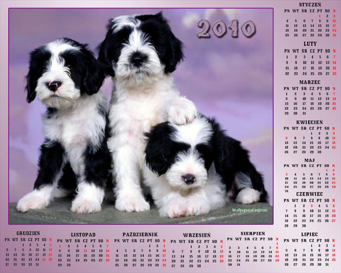 Kalendarze 2010 - Kalendarz 201026.jpg