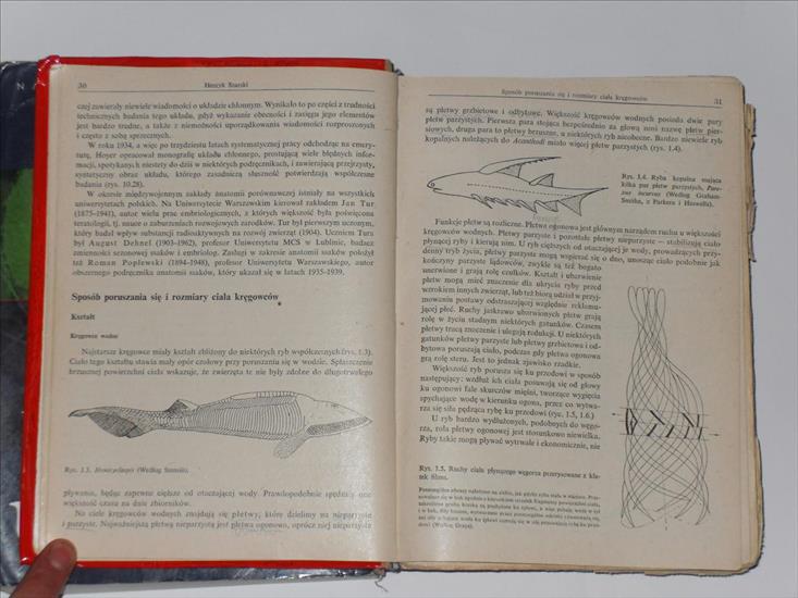 1. Anatomia porównawcza kręgowców. Henryk Szarstki - SDC12931.JPG