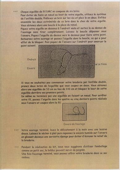 picoti...picota - les 13 coccinelles 2.JPG