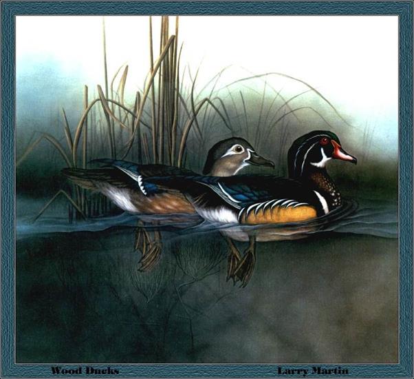 Duck Stamps - p-alds1985.jpg