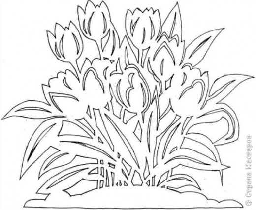 Wzory wycinanek - tulipany_1.jpg