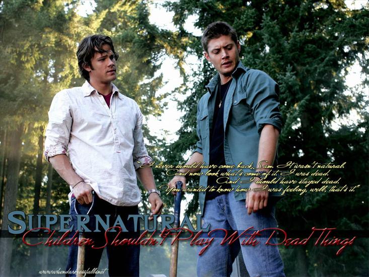 Jensen Ackles - Supernatural-Wallpapers-supernatural-965231_1024_768.jpg