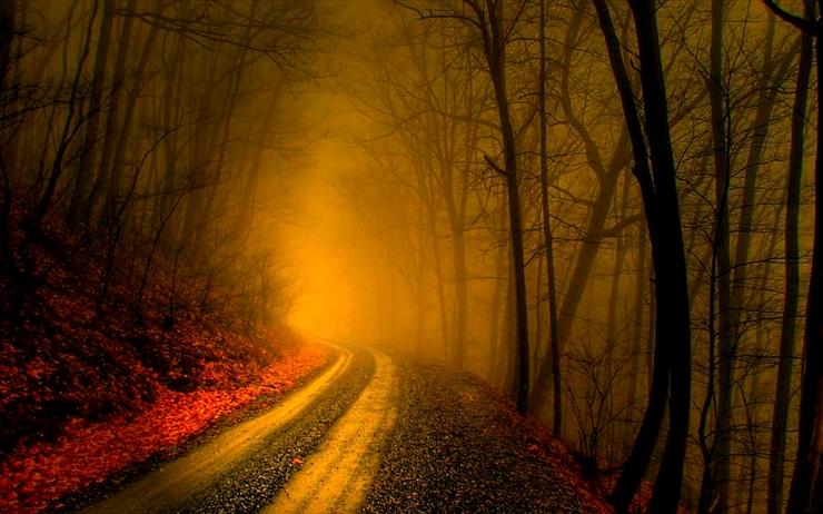 DROGA - misty-road.jpg
