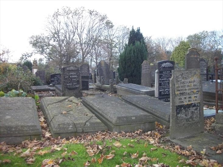 1.11.2011 cmentarz w Harlingenie - 100_2295.JPG